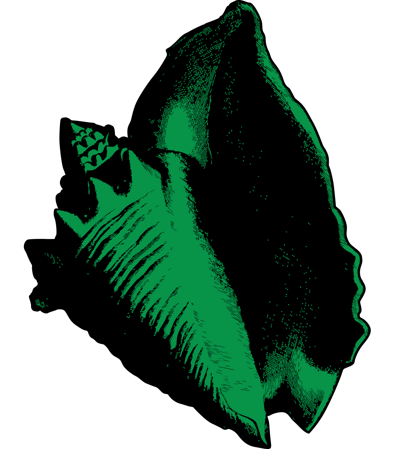 L&rsquo;art du mawonnaj